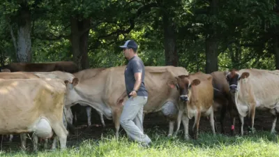 thumbnail - S1:E1 Udderly Challenging