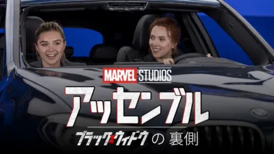 thumbnail - ブラック･ウィドウの裏側