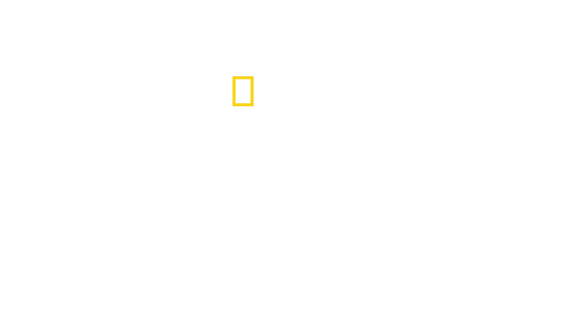 Le regole del mercato nero