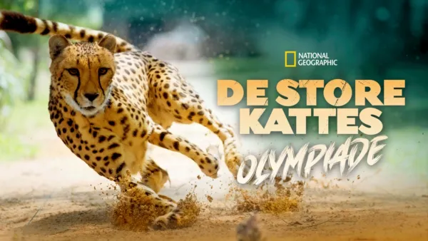 thumbnail - De store kattes olympiade