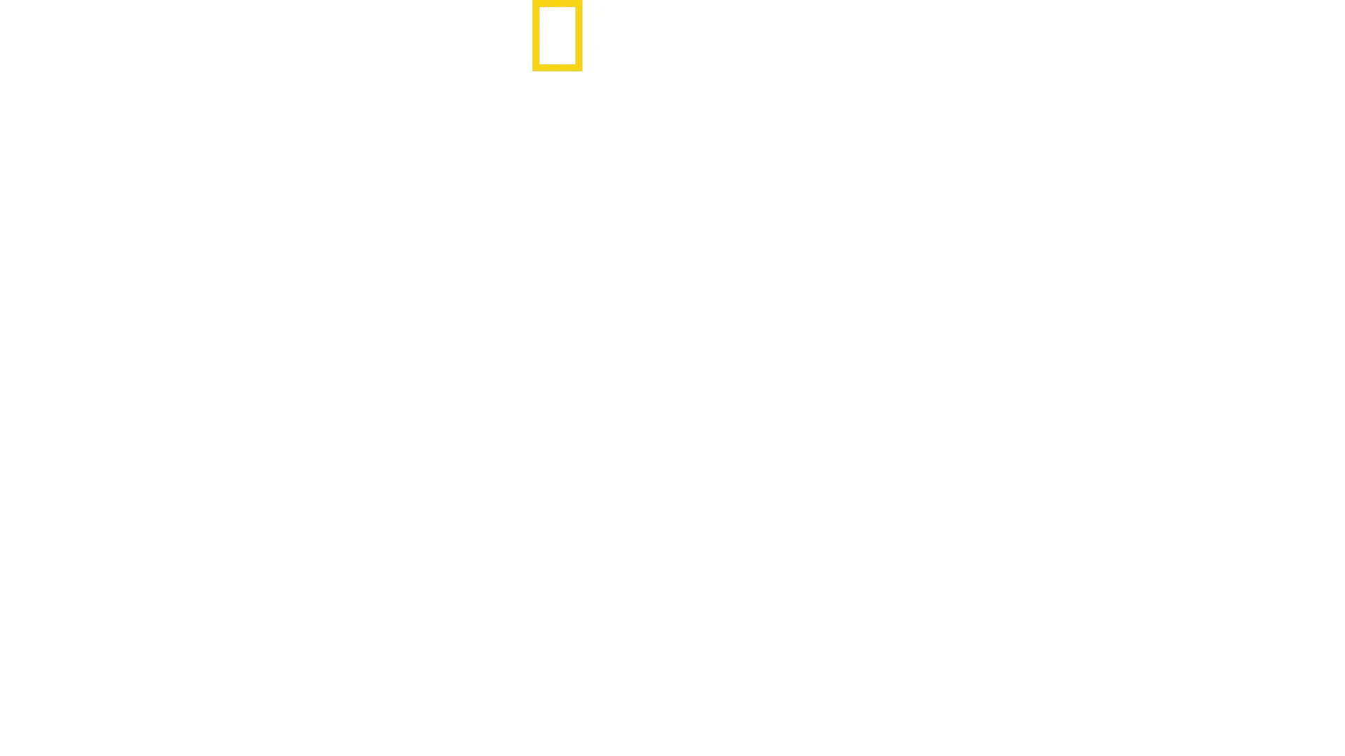Jane Goodall: toivo