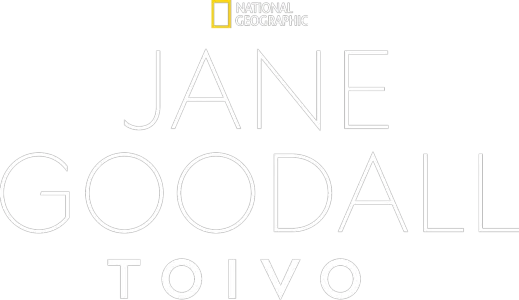 Jane Goodall: toivo