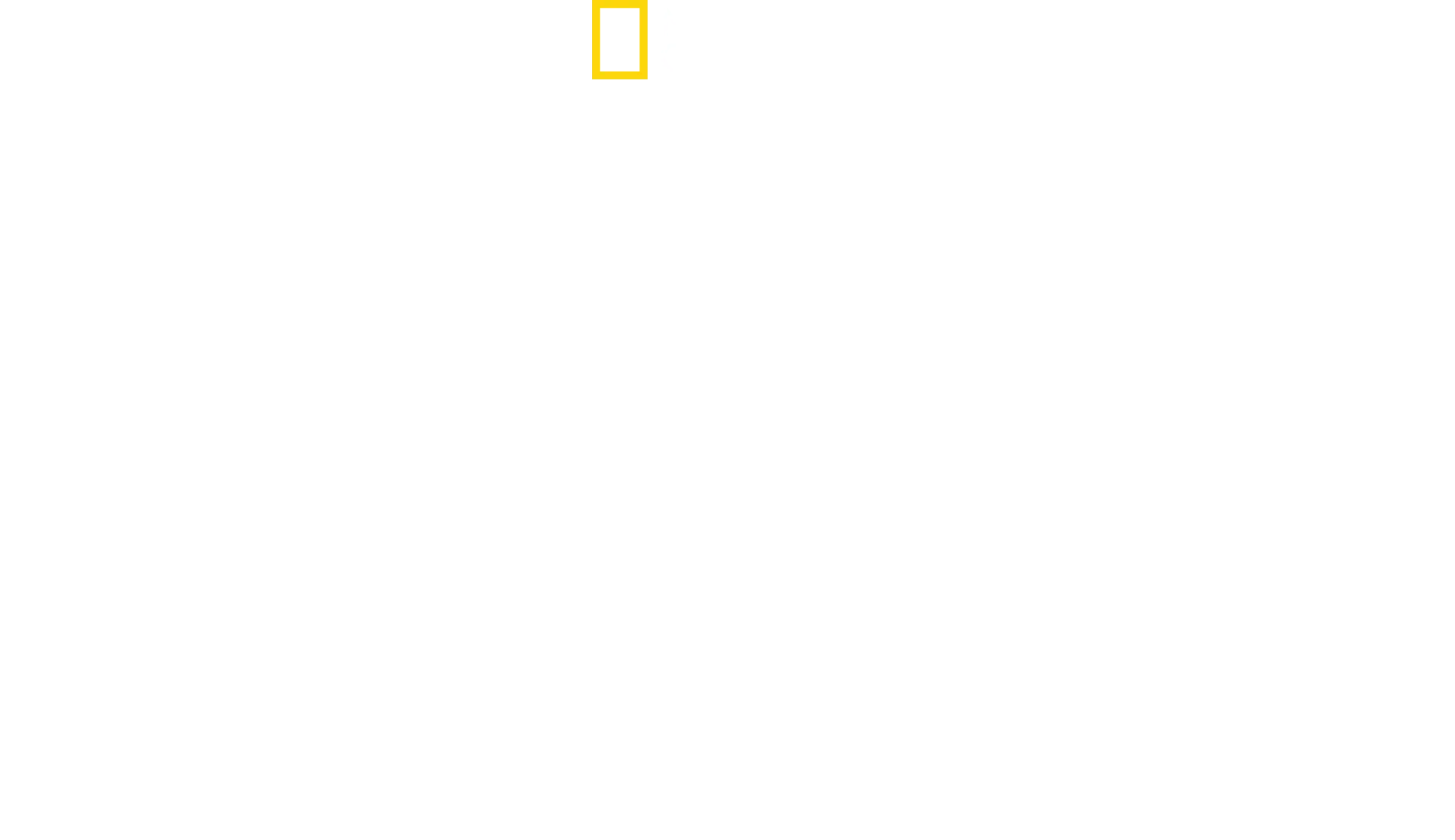 Jane Goodall: toivo