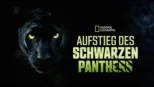 thumbnail - Aufstieg des schwarzen Panthers