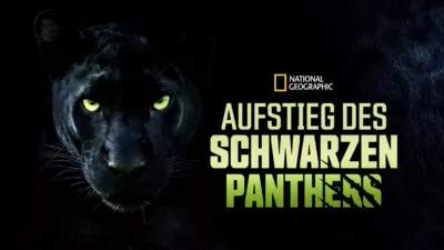 thumbnail - Aufstieg des schwarzen Panthers