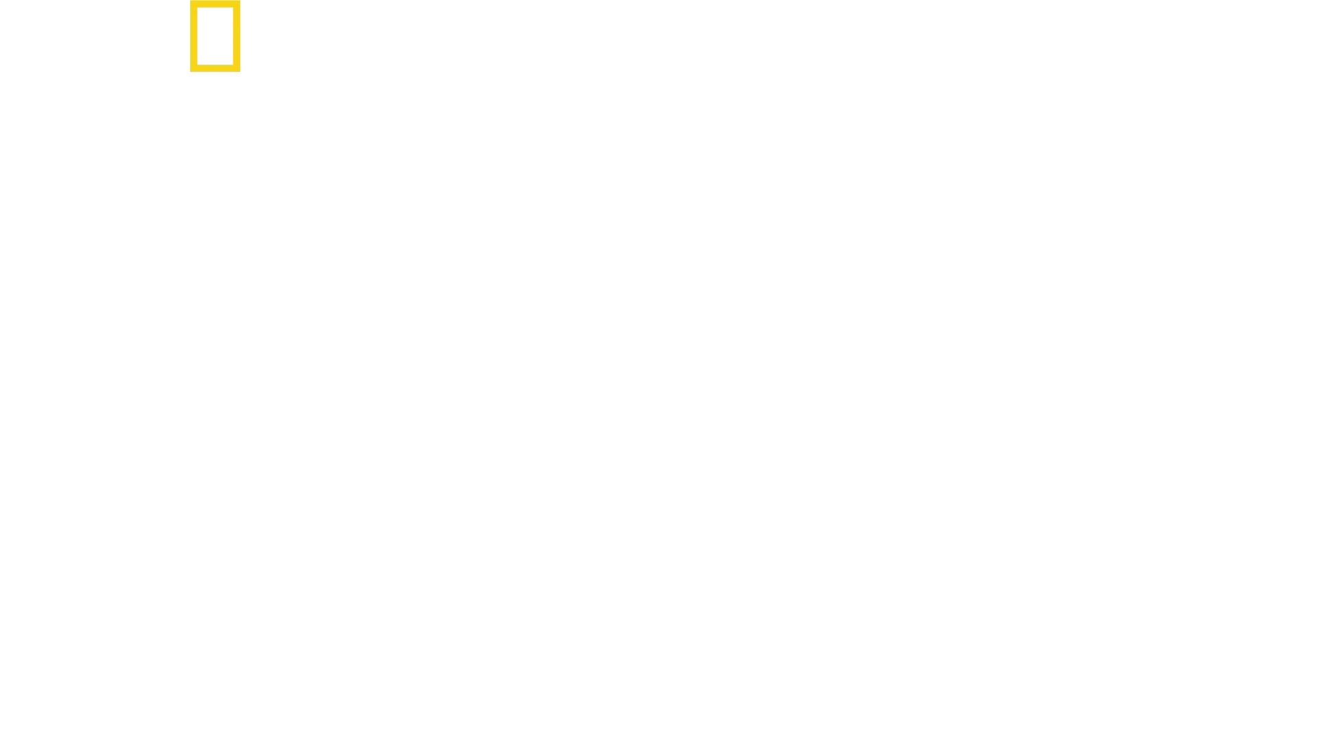 Stanley Tucci : Cuisine à l'italienne