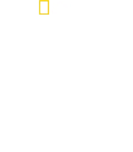 Stanley Tucci : Cuisine à l'italienne