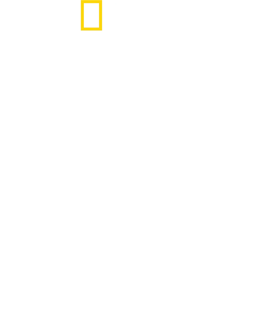 Stanley Tucci : Cuisine à l'italienne