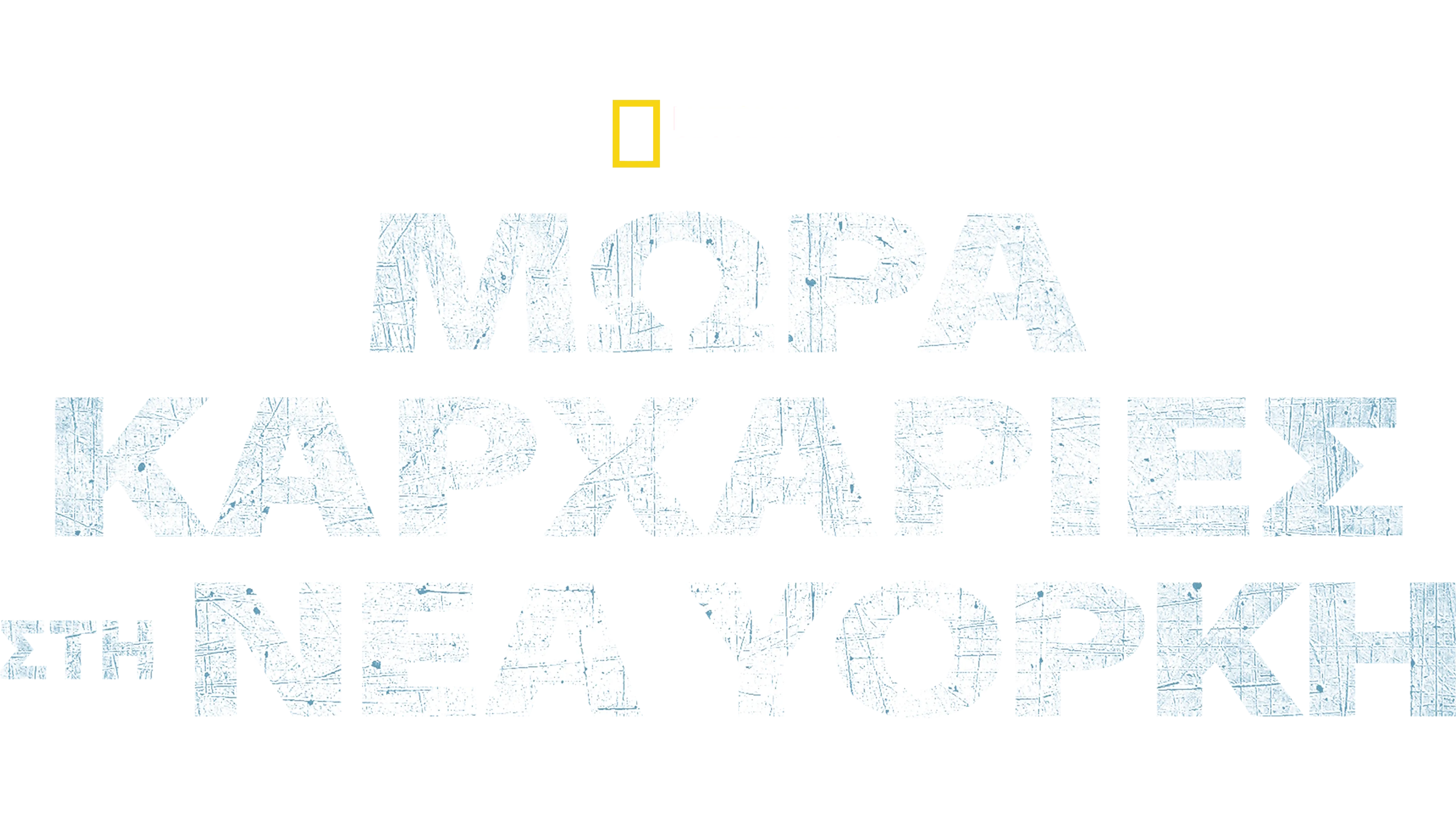 Μωρά Καρχαρίες στη Νέα Υόρκη
