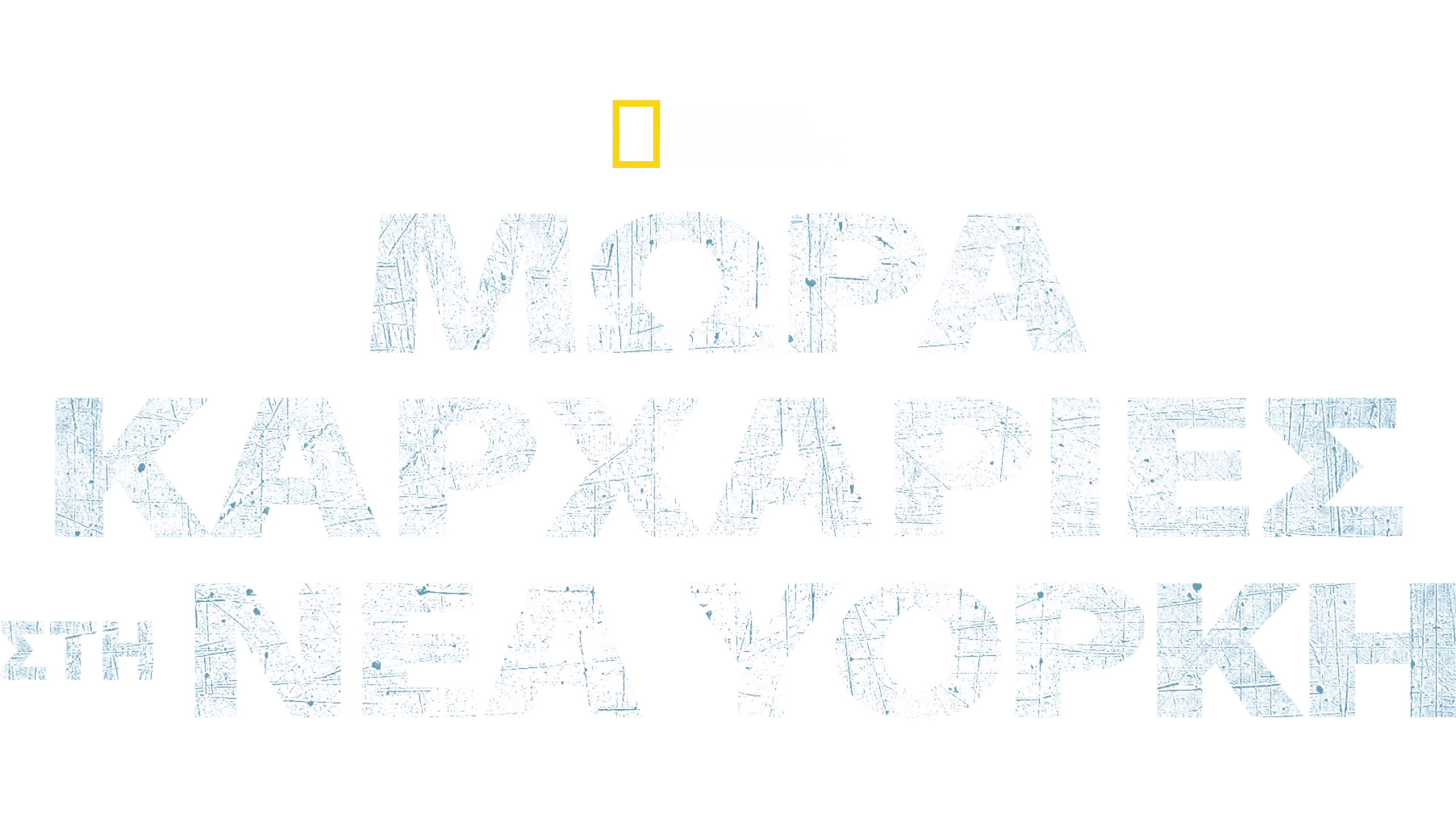 Μωρά Καρχαρίες στη Νέα Υόρκη