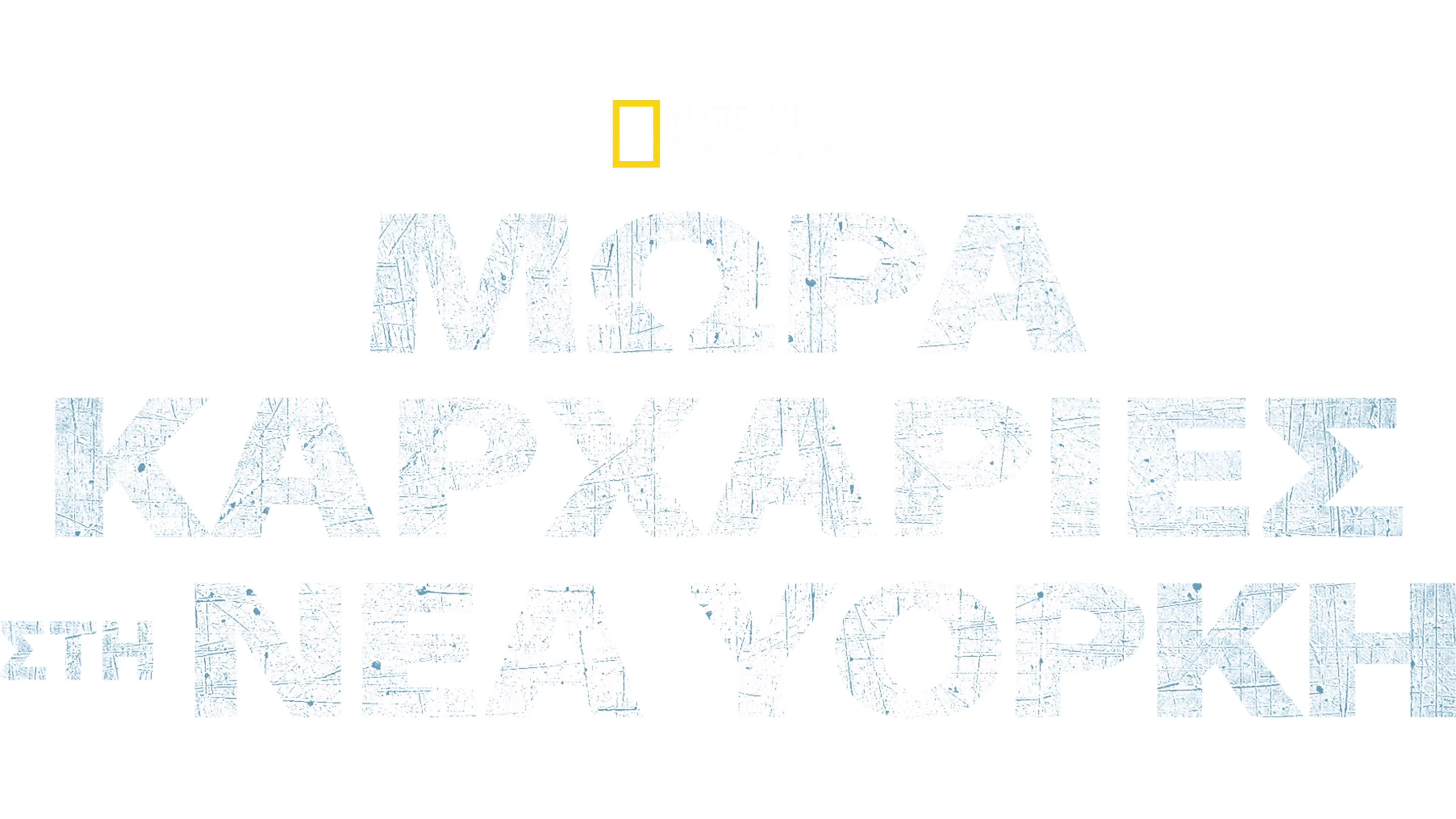 Μωρά Καρχαρίες στη Νέα Υόρκη