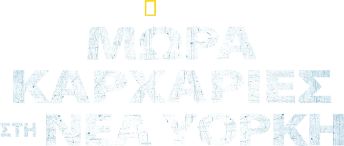 Μωρά Καρχαρίες στη Νέα Υόρκη