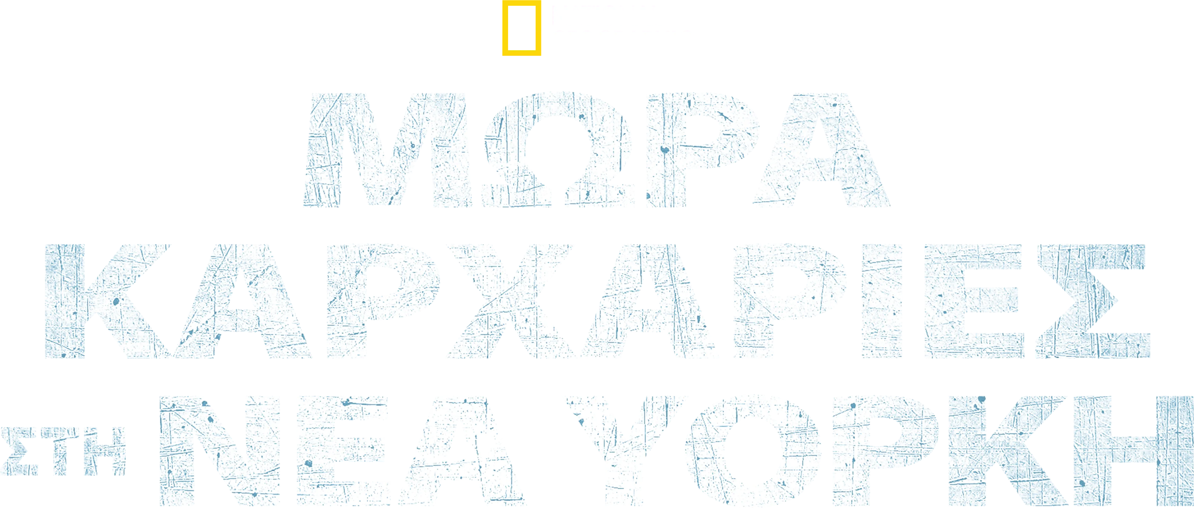Μωρά Καρχαρίες στη Νέα Υόρκη