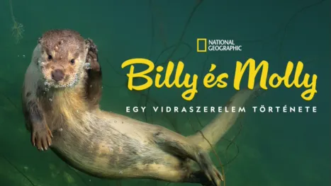 thumbnail - Billy és Molly: Egy vidraszerelem története