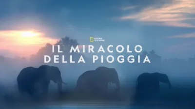 Il Miracolo della Pioggia