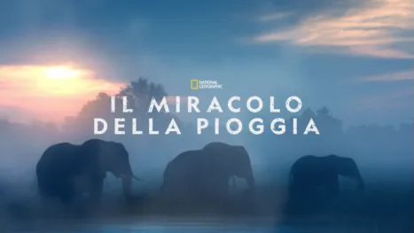 thumbnail - Il Miracolo della Pioggia