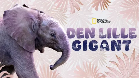 thumbnail - Den lille gigant