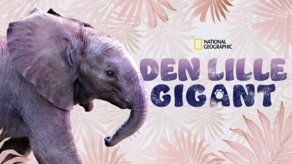 thumbnail - Den lille gigant