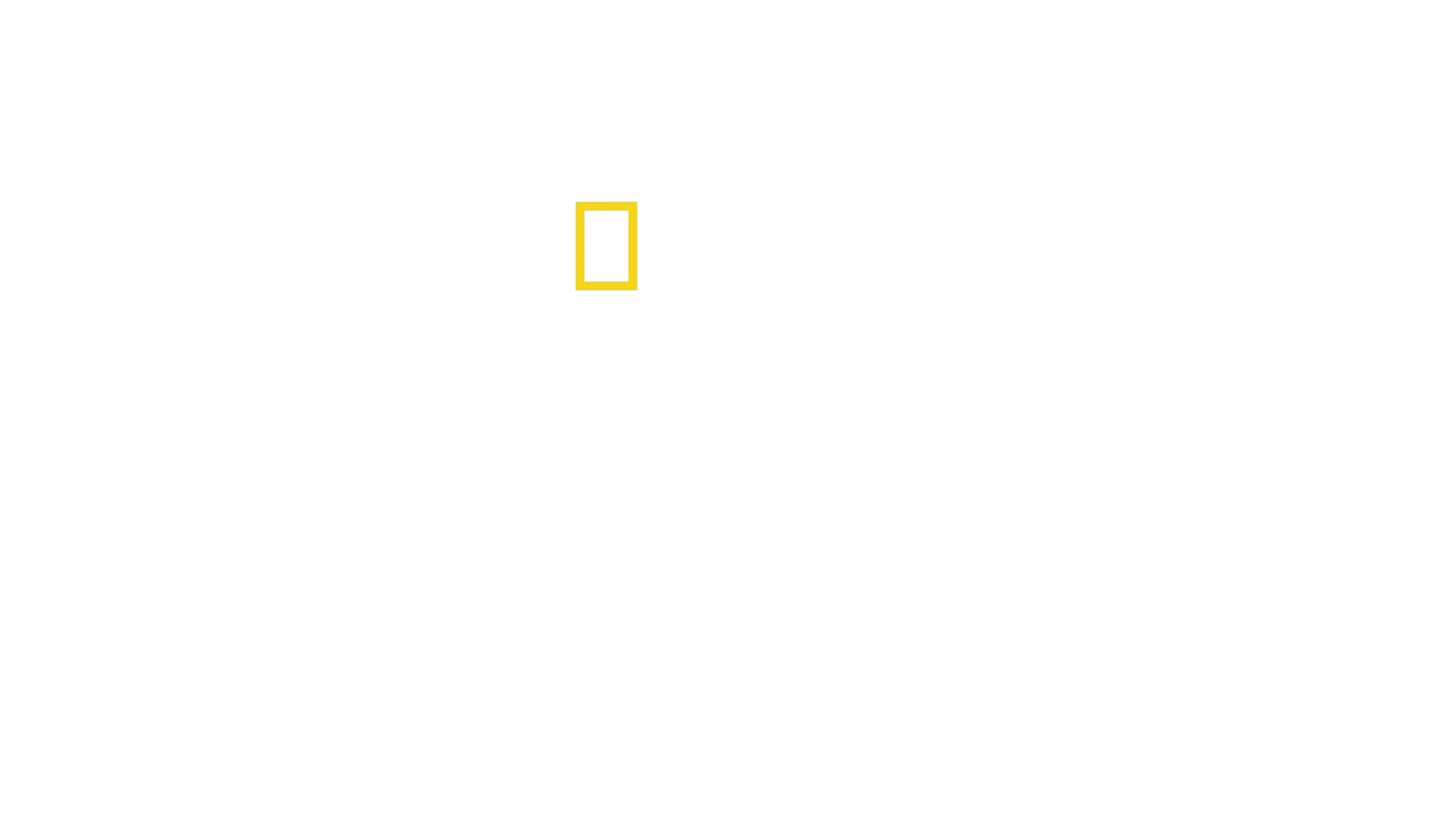 Europa: Strategien der Verteidigung