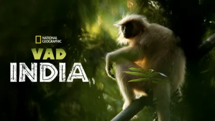 thumbnail - Vad India