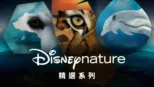 thumbnail - 迪士尼自然