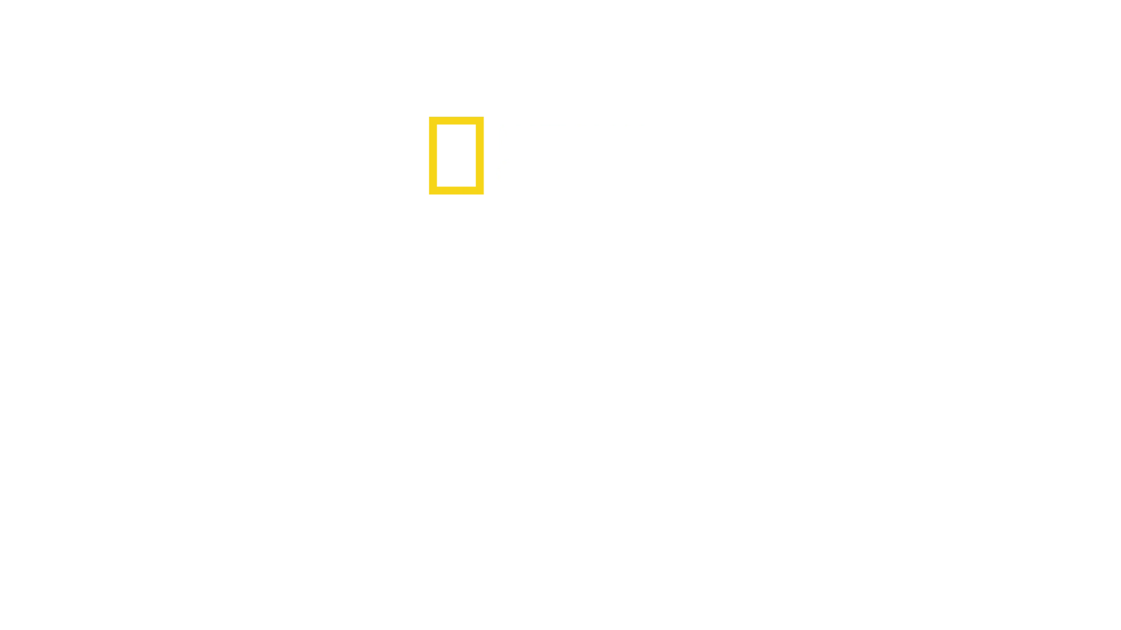 Ναρκωτικά Α.Ε.: Η Πλευρά του Διακινητή