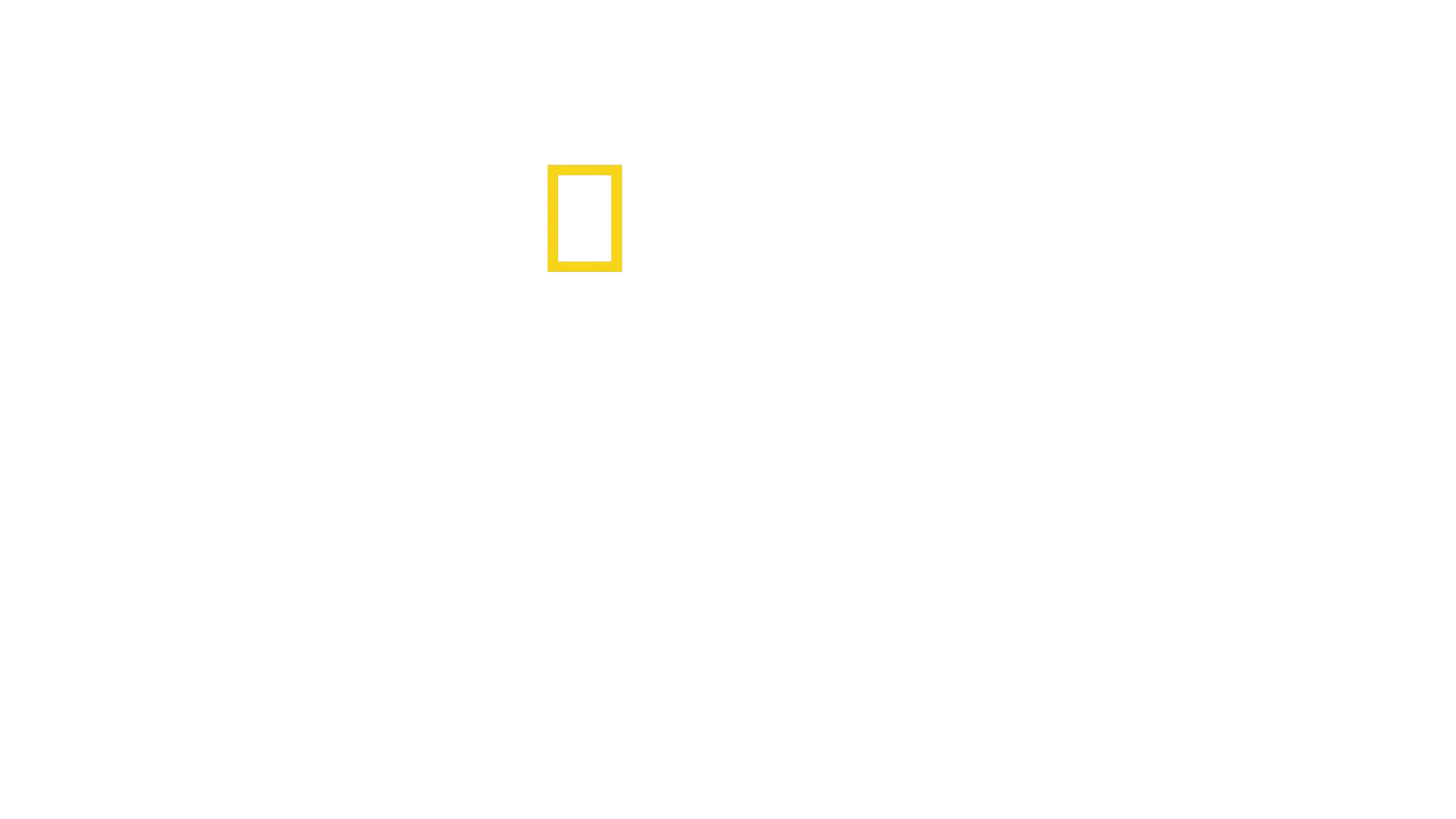Zoznámte sa so šimpanzmi