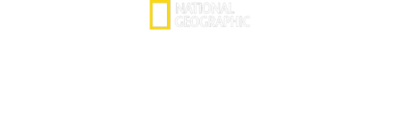 Zoznámte sa so šimpanzmi