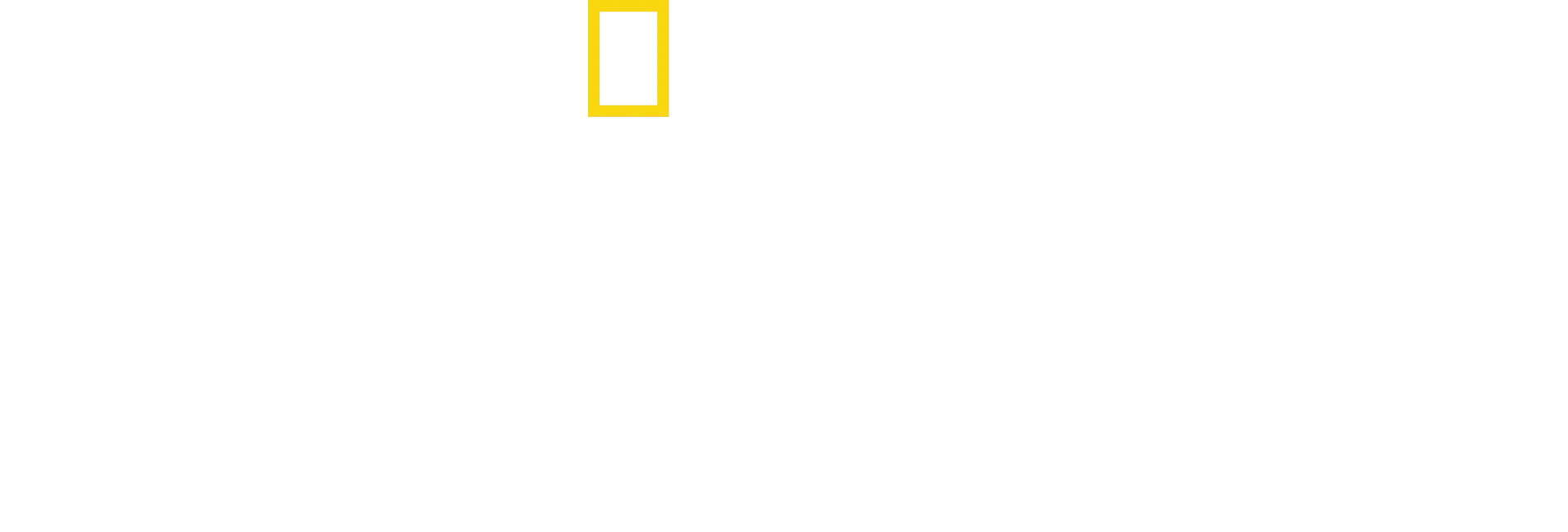 Zoznámte sa so šimpanzmi