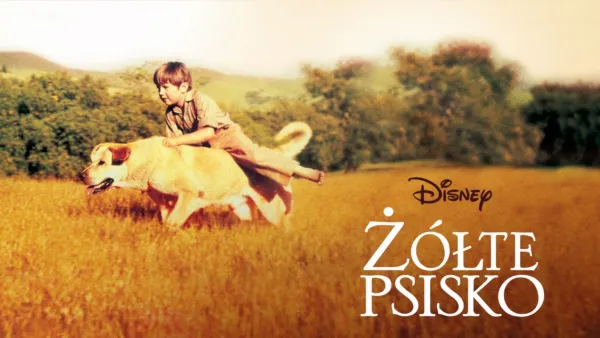 thumbnail - Żółte psisko