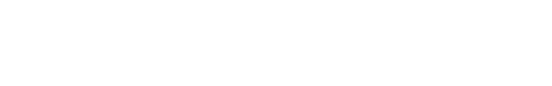 SOKO Wismar