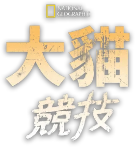 大貓競技