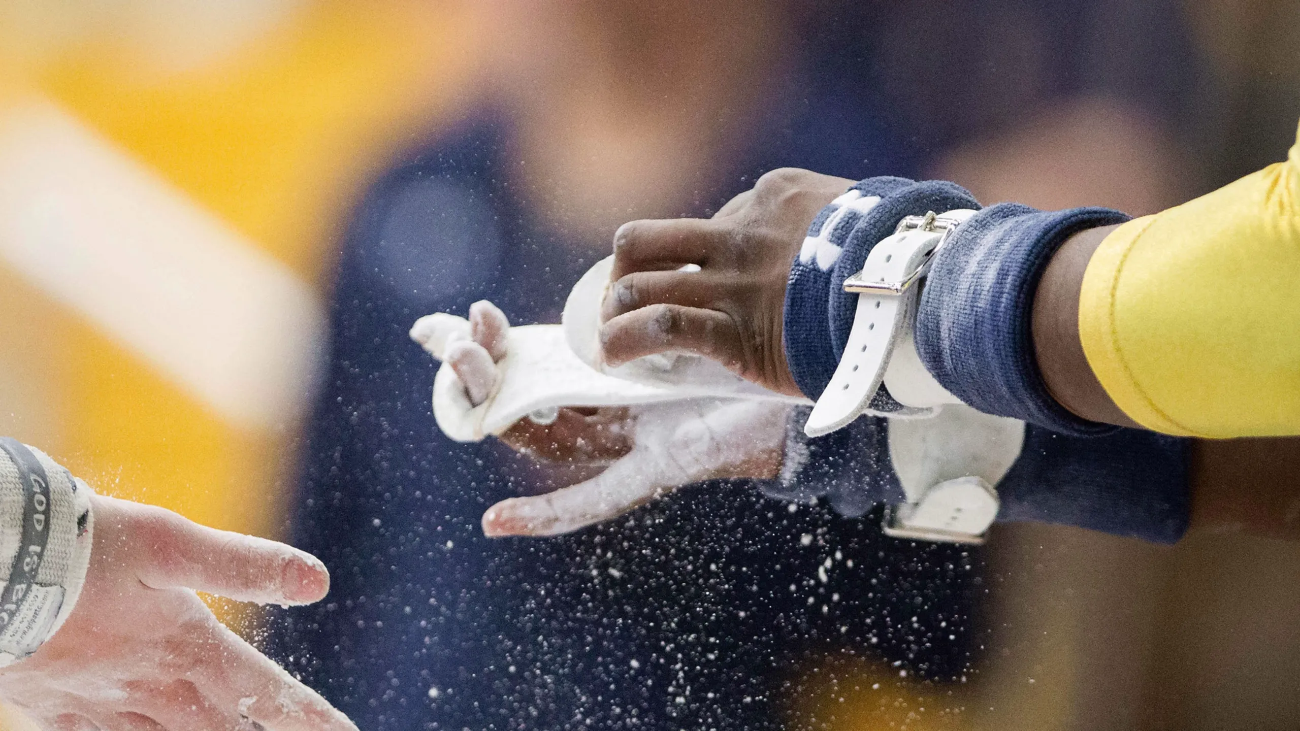NCAA Women's Gymnastics Championship: Lexington Regional (Regional Final)