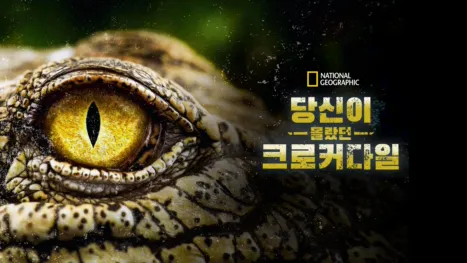 thumbnail - 당신이 몰랐던 크로커다일