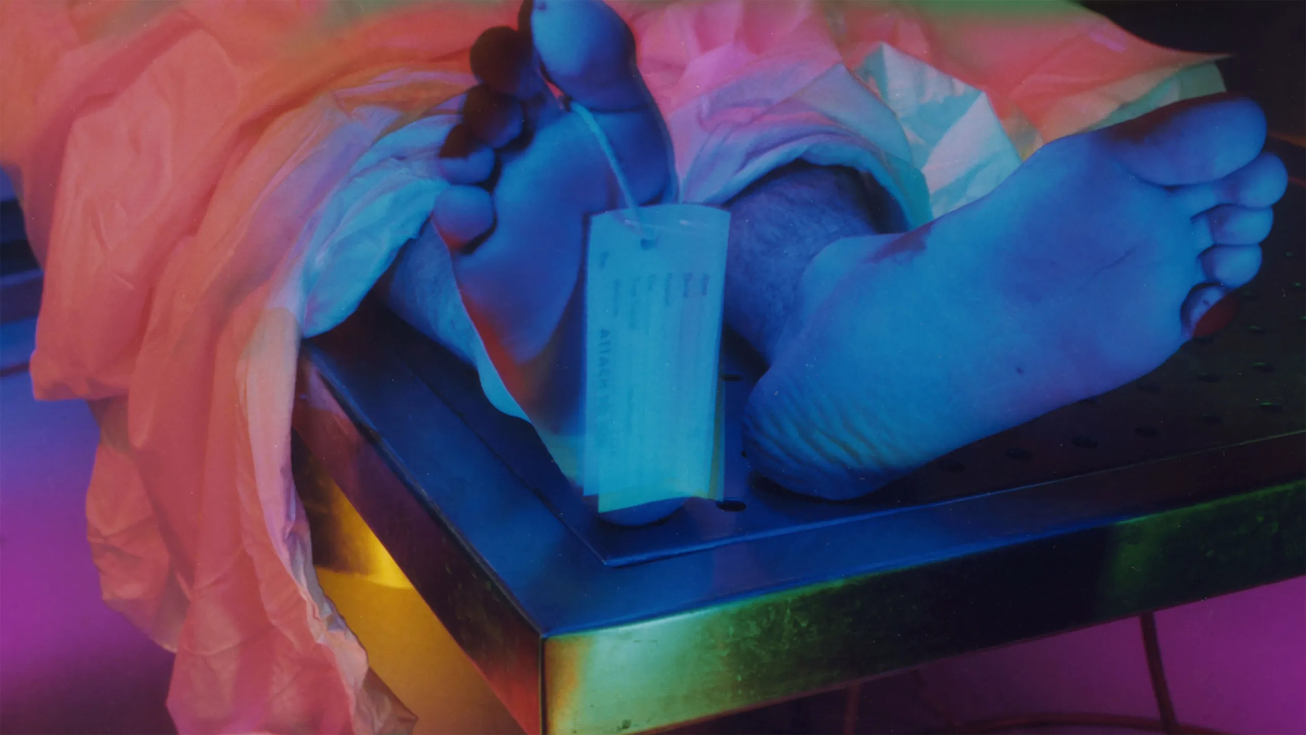 Los nuevos detectives