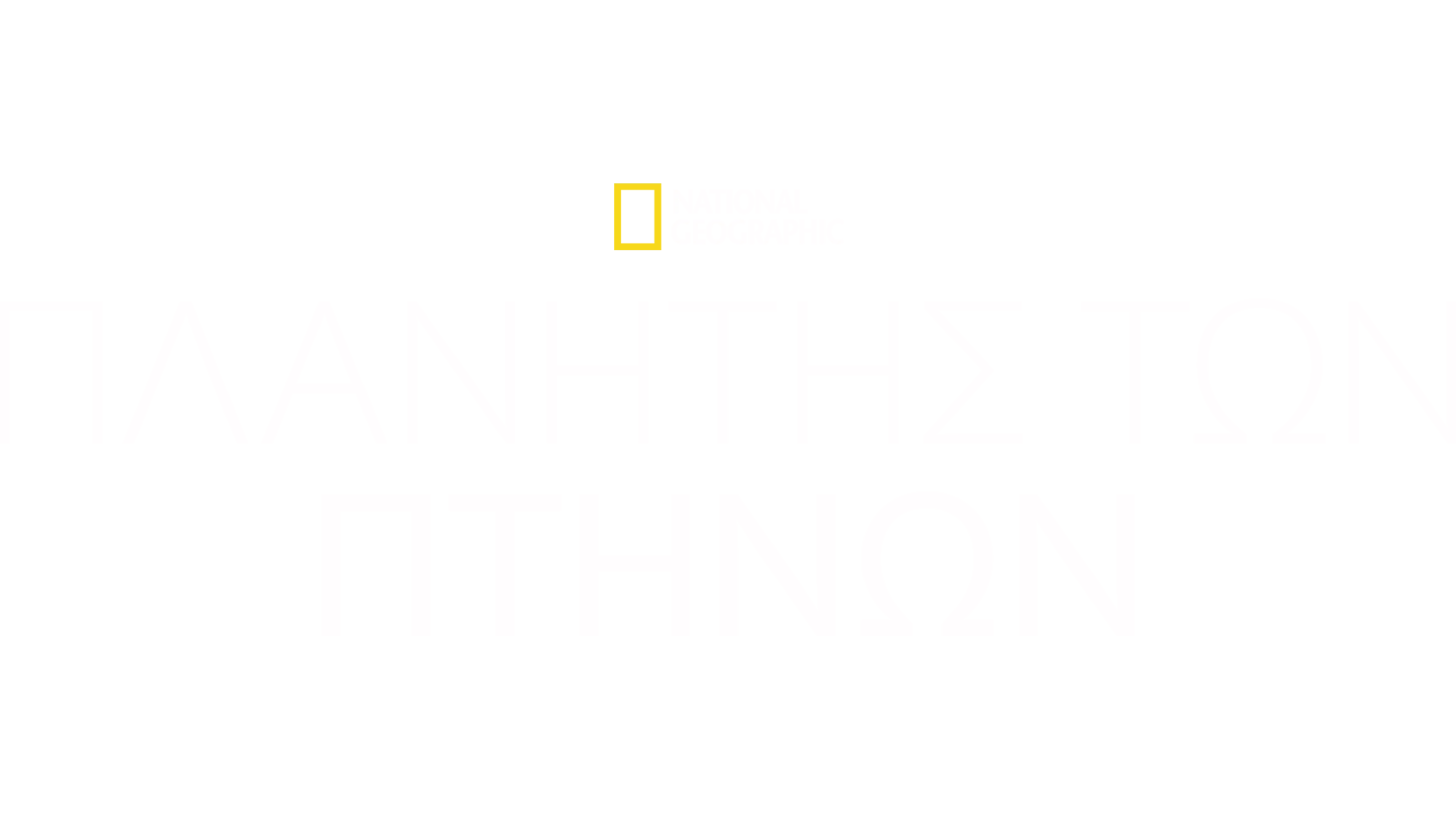 Πλανήτης των Πτηνών