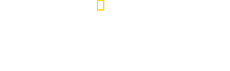 Πλανήτης των Πτηνών