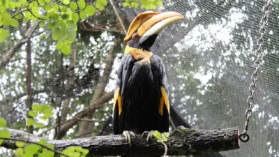 thumbnail - S4:E5 Oh, the Zoomanity!