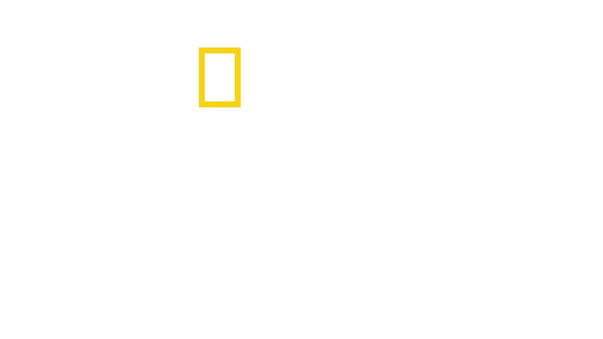A világ ízei Antoni Porowskival