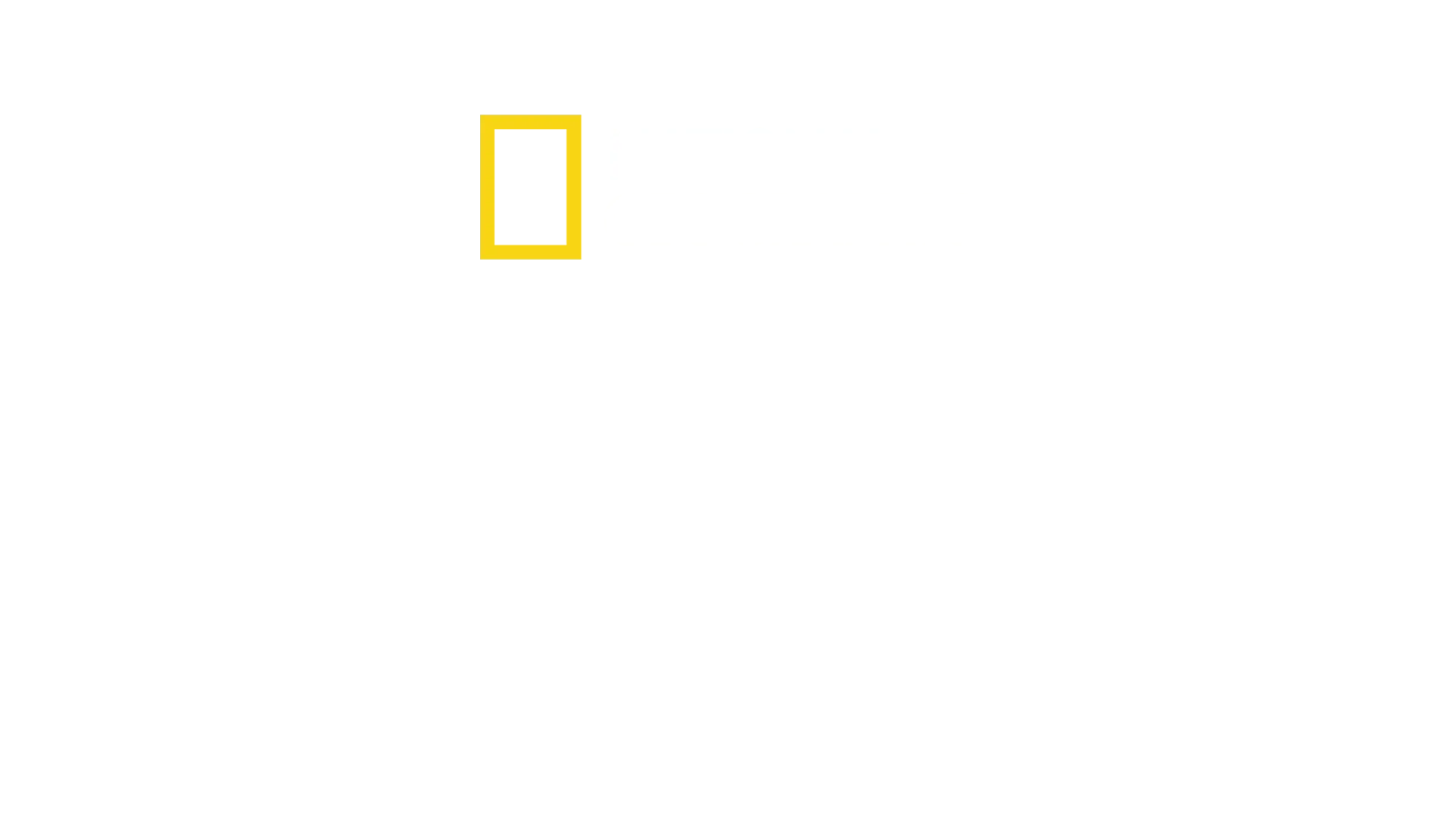 A világ ízei Antoni Porowskival