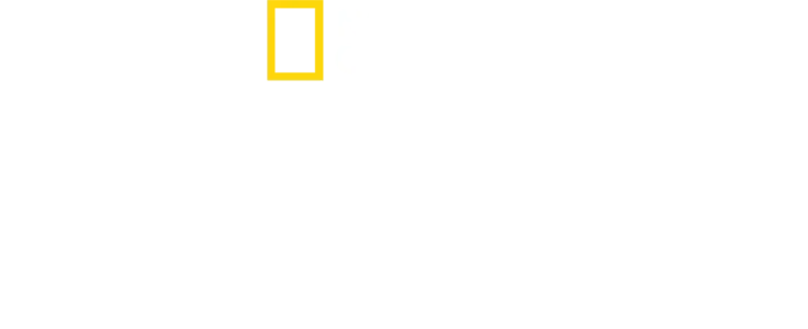A világ ízei Antoni Porowskival