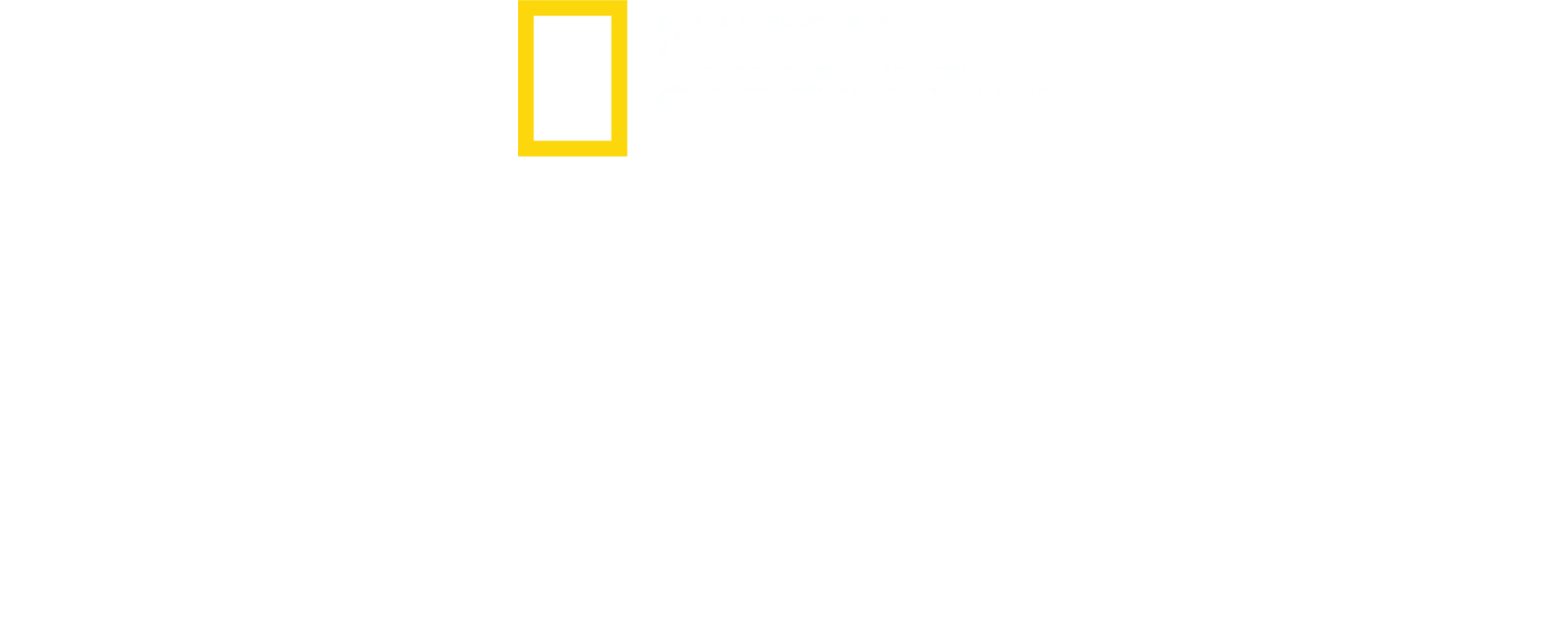 A világ ízei Antoni Porowskival