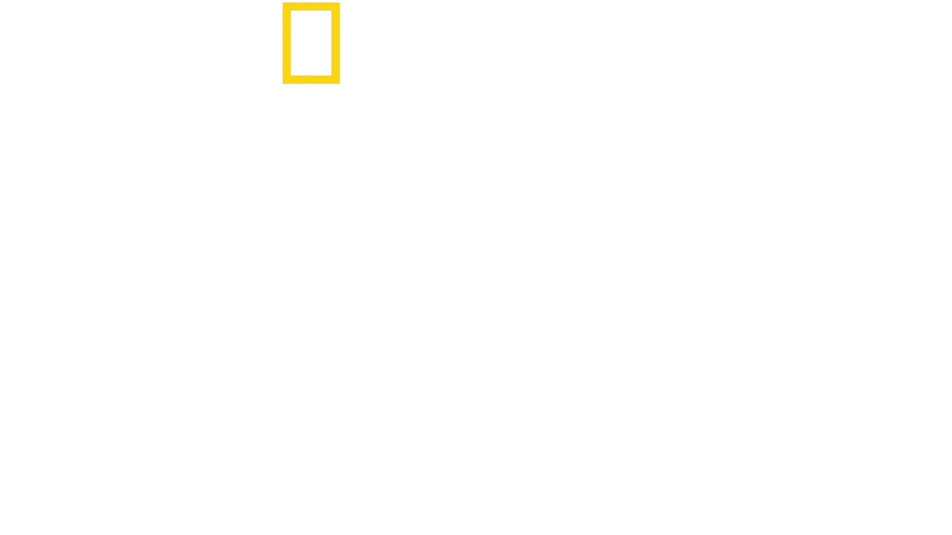 Lost Treasures of Egypt