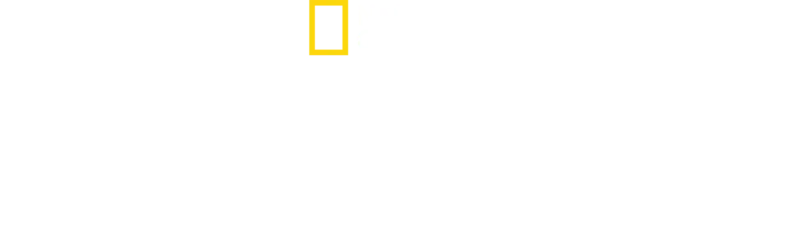 北極熊王國