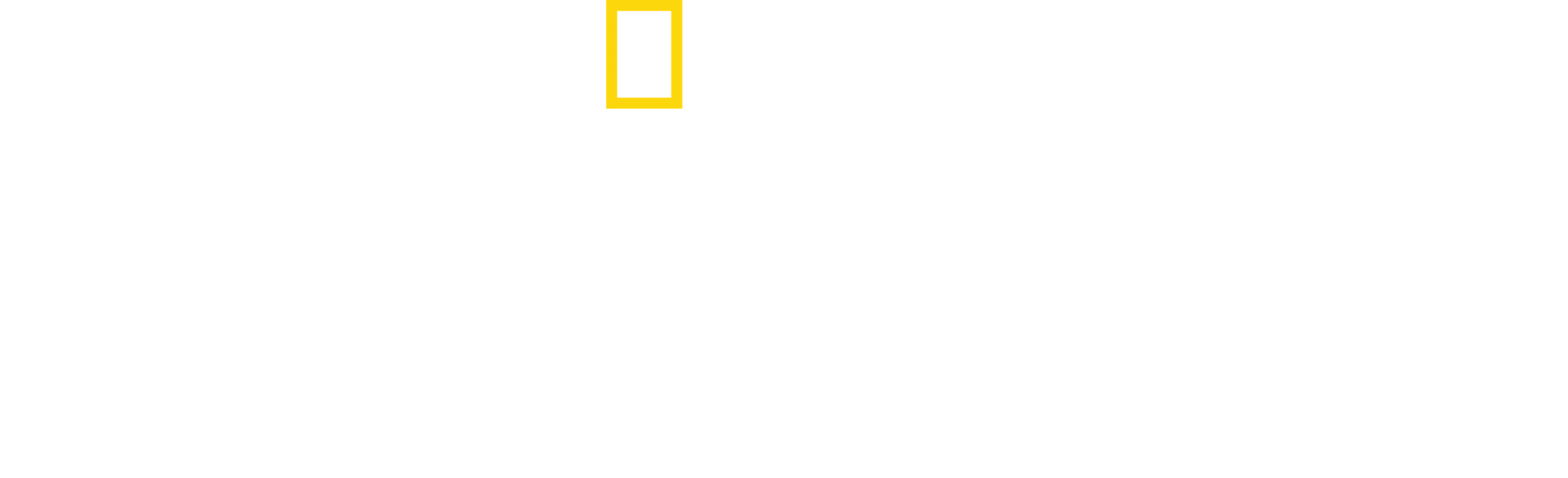 北極熊王國
