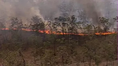 thumbnail - S2:E4 The Killing Fields