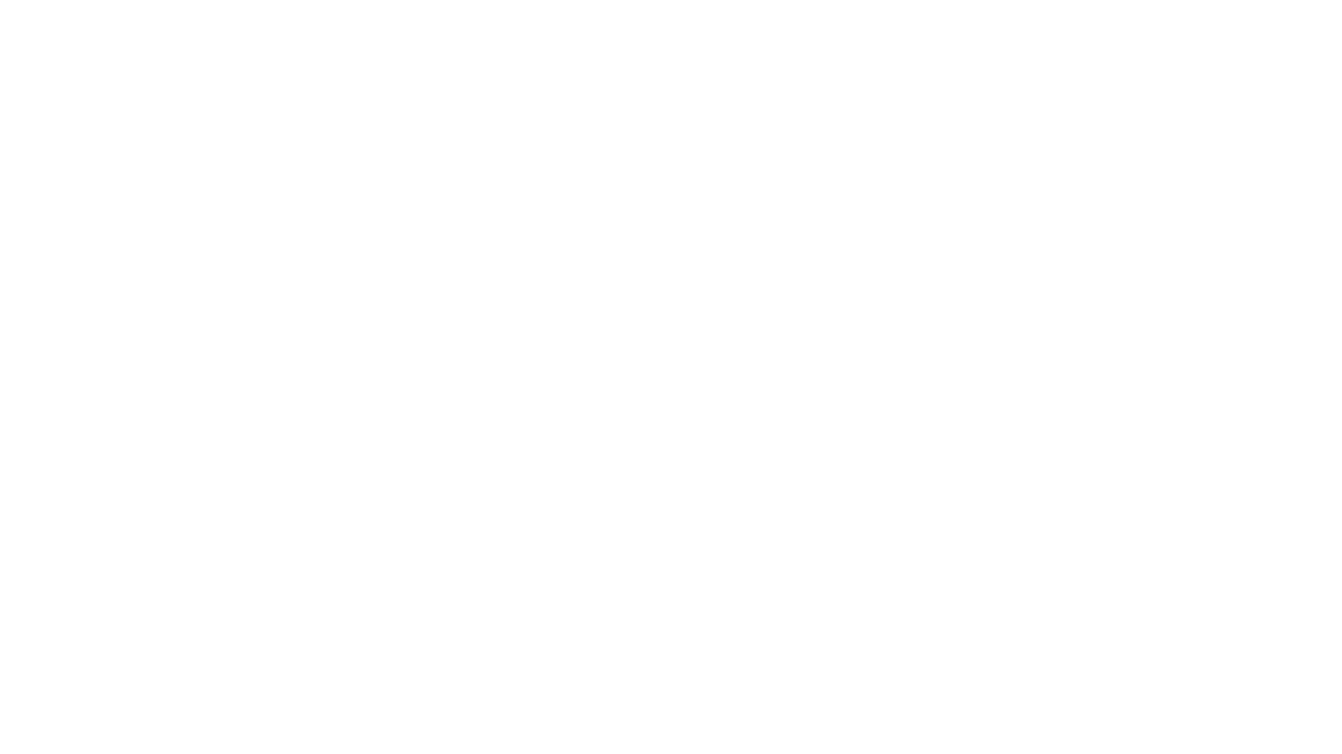 Bluey