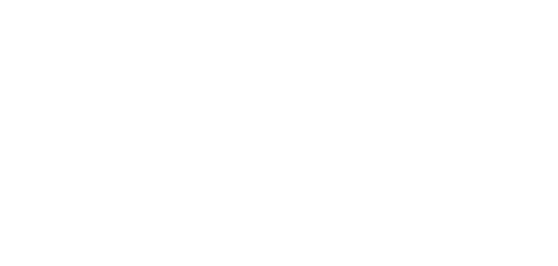 Making of an Activist