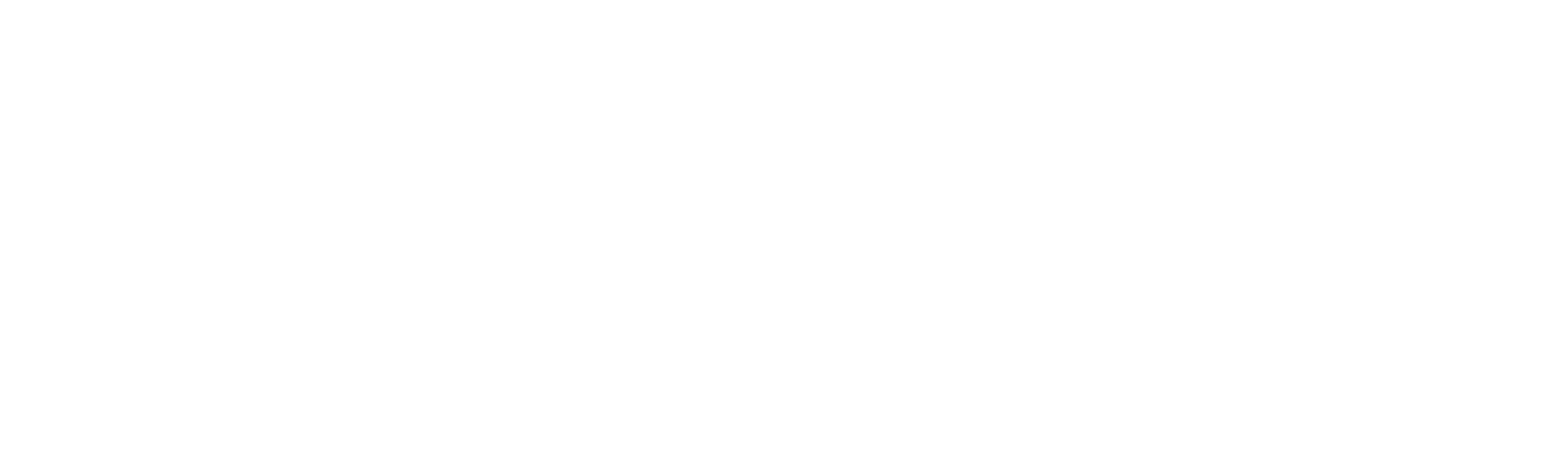 The Mandalorian