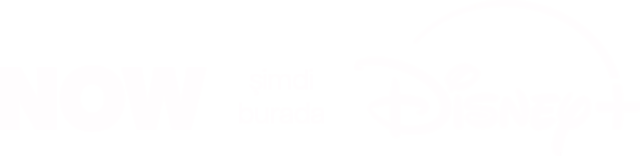 Hulu burada Disney+ logosu